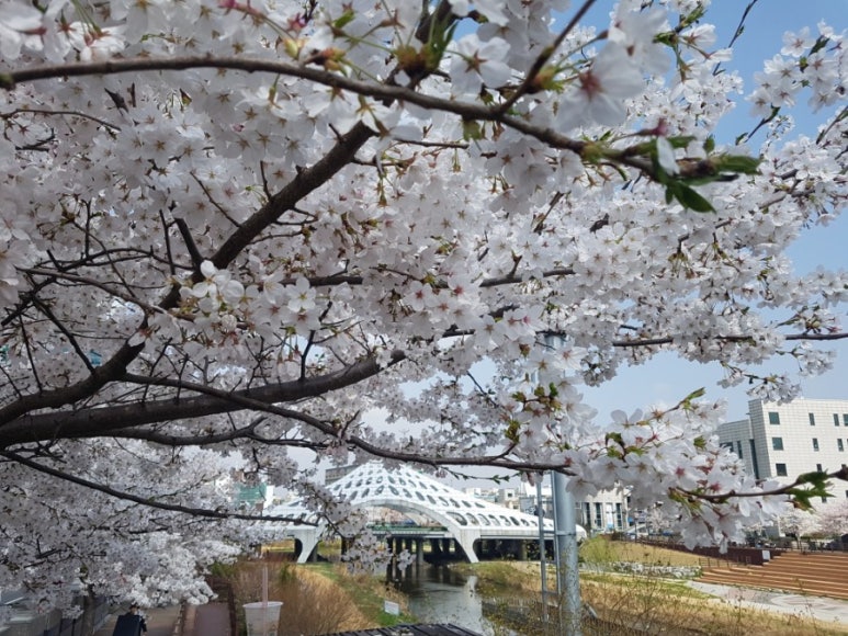 카페마리모 이미지