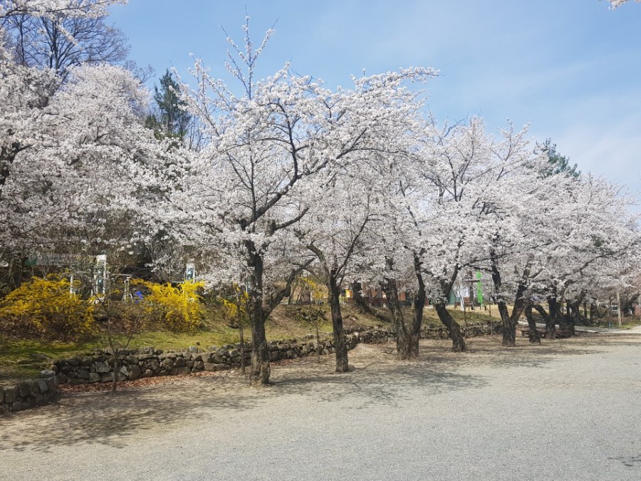 써니브로우 이미지