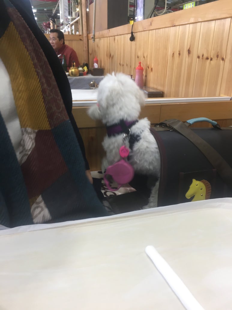 공주네가게 이미지