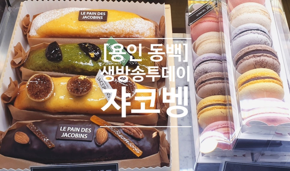 르뺑데쟈코벵 이미지