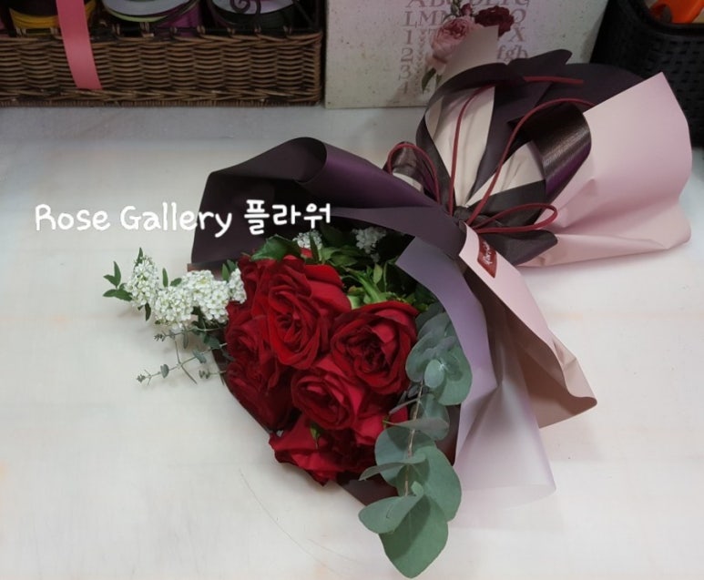 포코로코 이미지