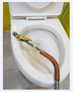 변기막힘 이미지