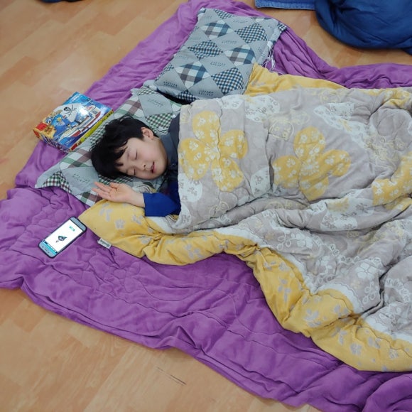 비호체육관 이미지