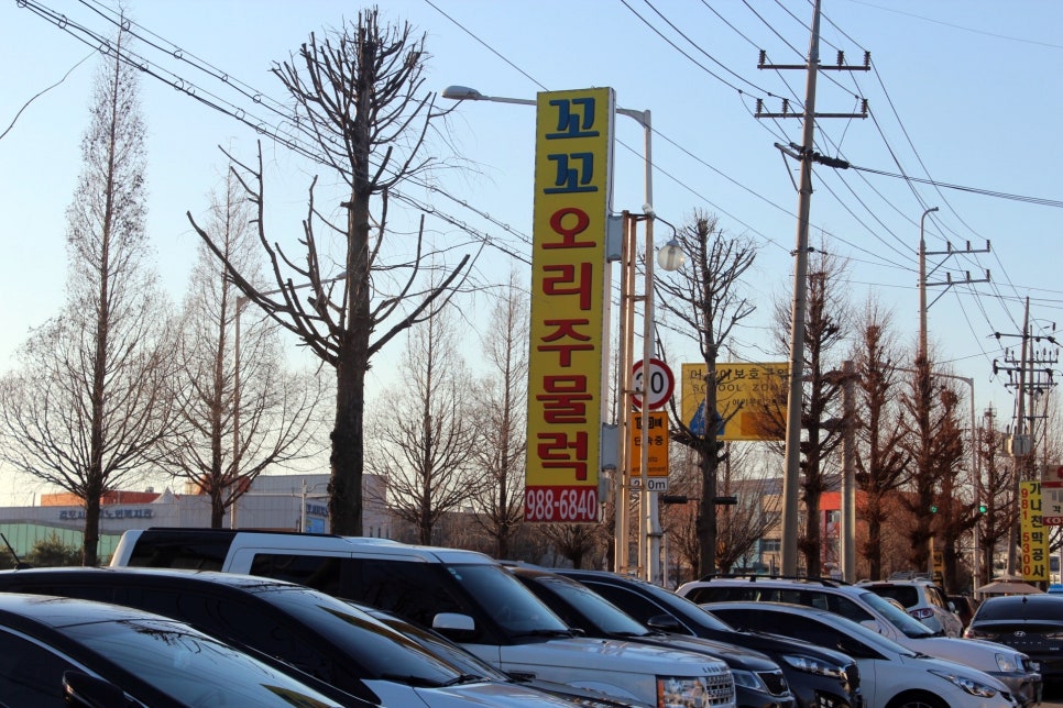 오리랑꼬꼬랑 이미지