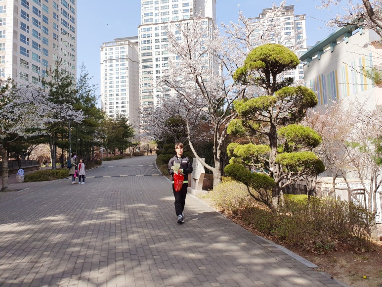 서울원촌초등학교 이미지