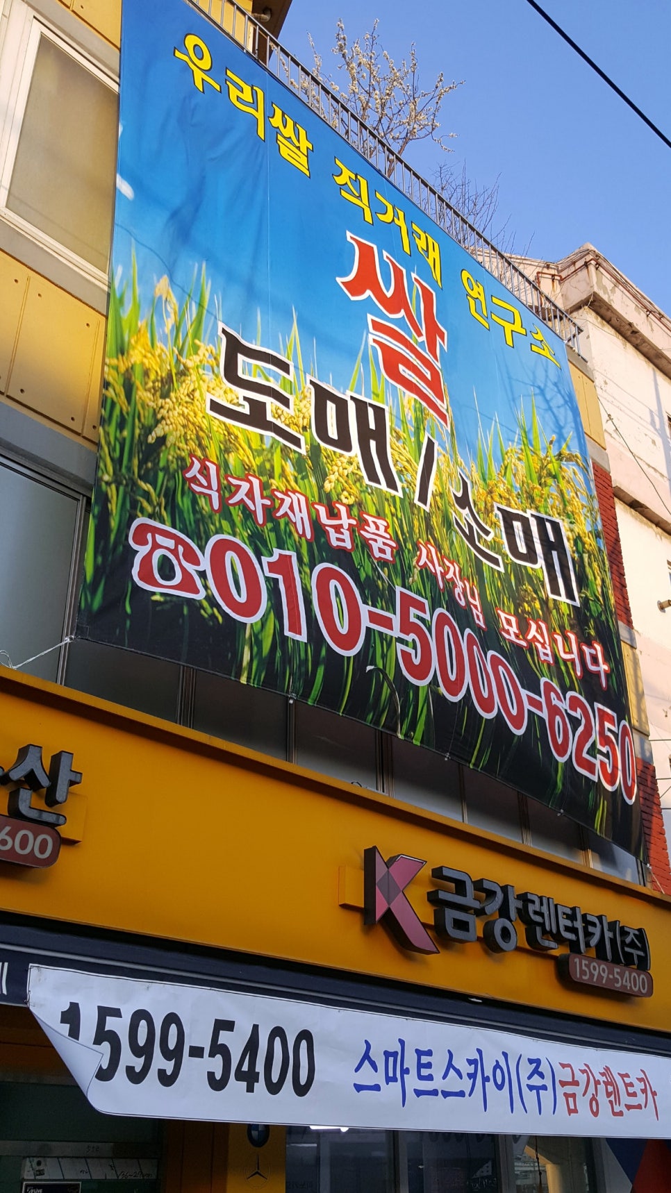 쌀연구소 이미지
