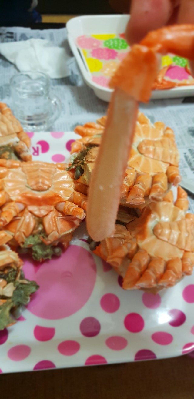 정성담은식판 이미지