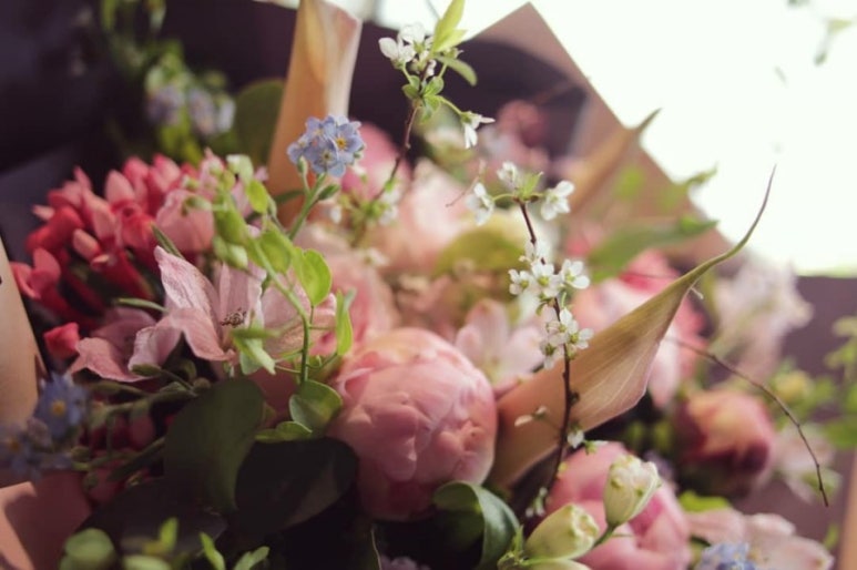 Flower늘봄 이미지