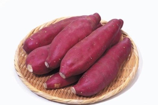 고구마스튜디오 이미지