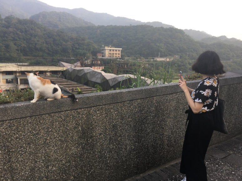 예스투어 이미지