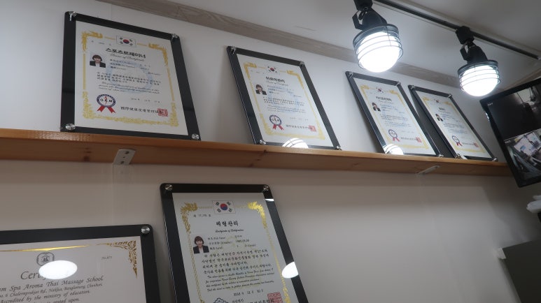 왓포체형관리 이미지