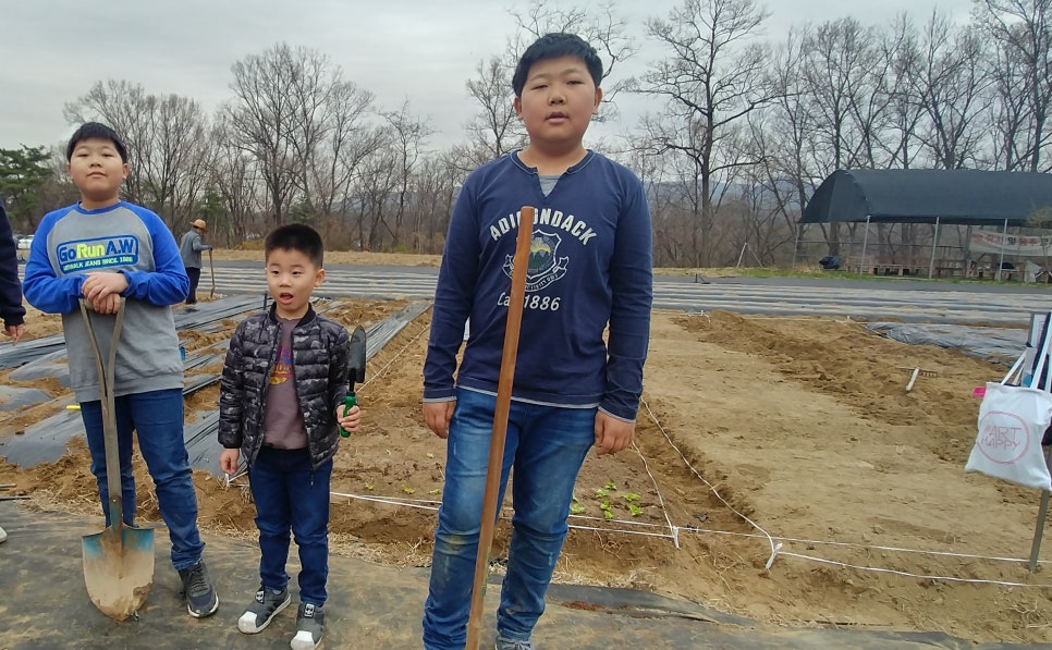 고려대학교 덕소농장 이미지