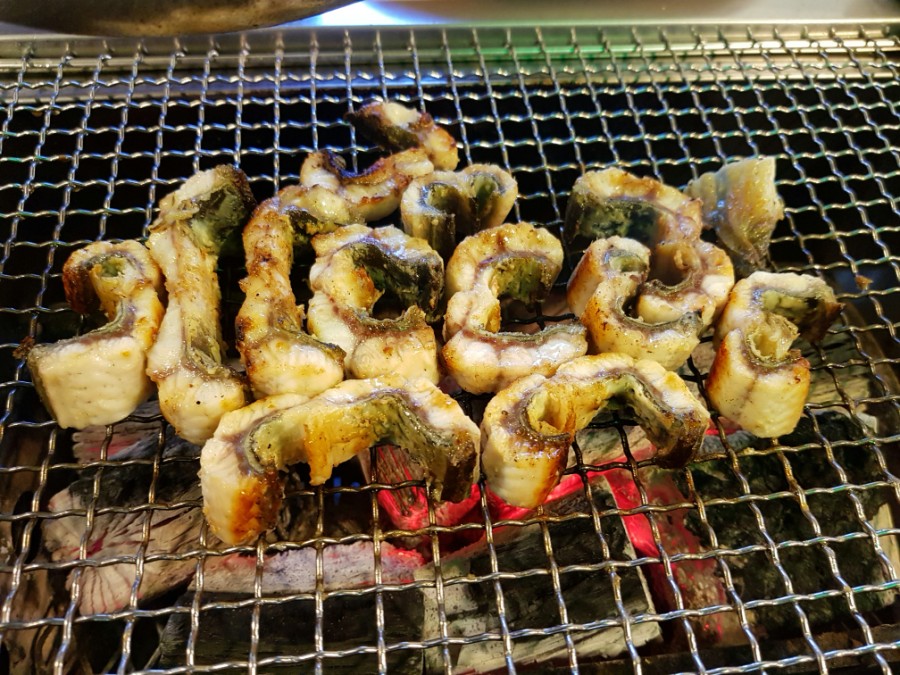 장어나다 이미지