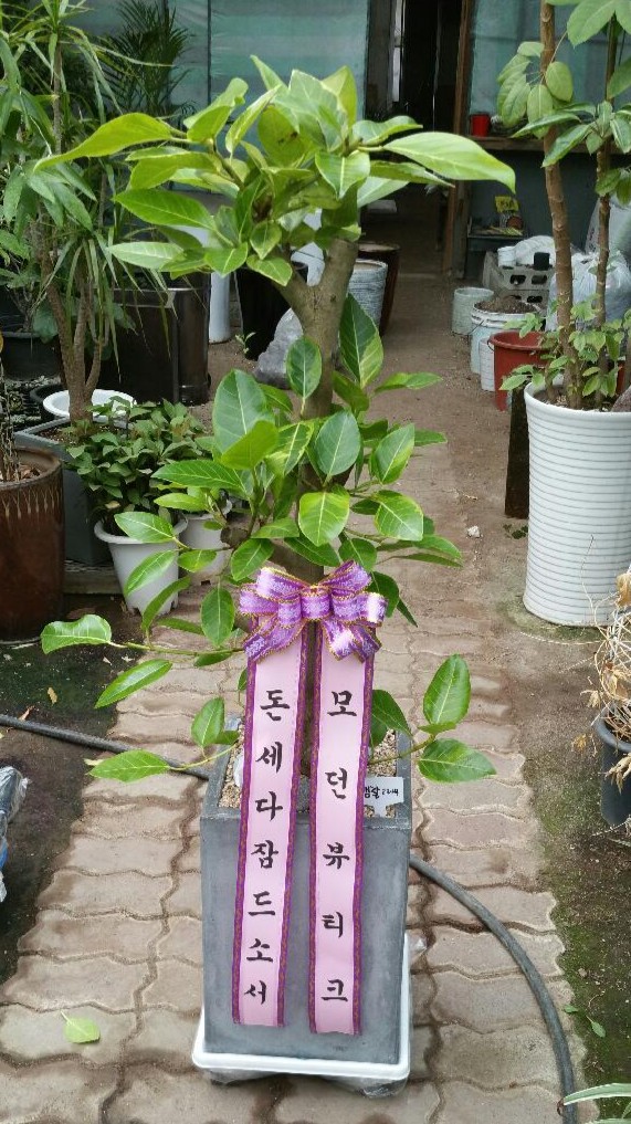 은혜농원 이미지