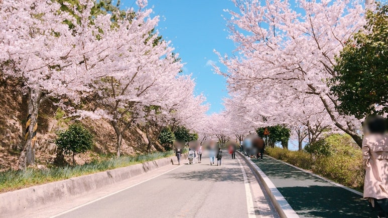 더블유앤비게스트하우스 이미지