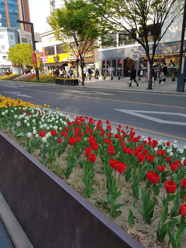(주)겐츠베이커리 이미지