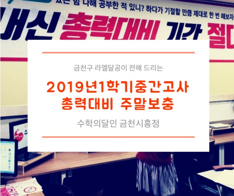 라엘에듀 이미지