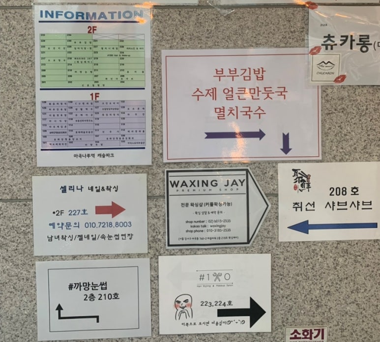 네일셀리나 이미지