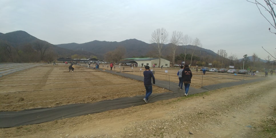 고려대학교 덕소농장 이미지