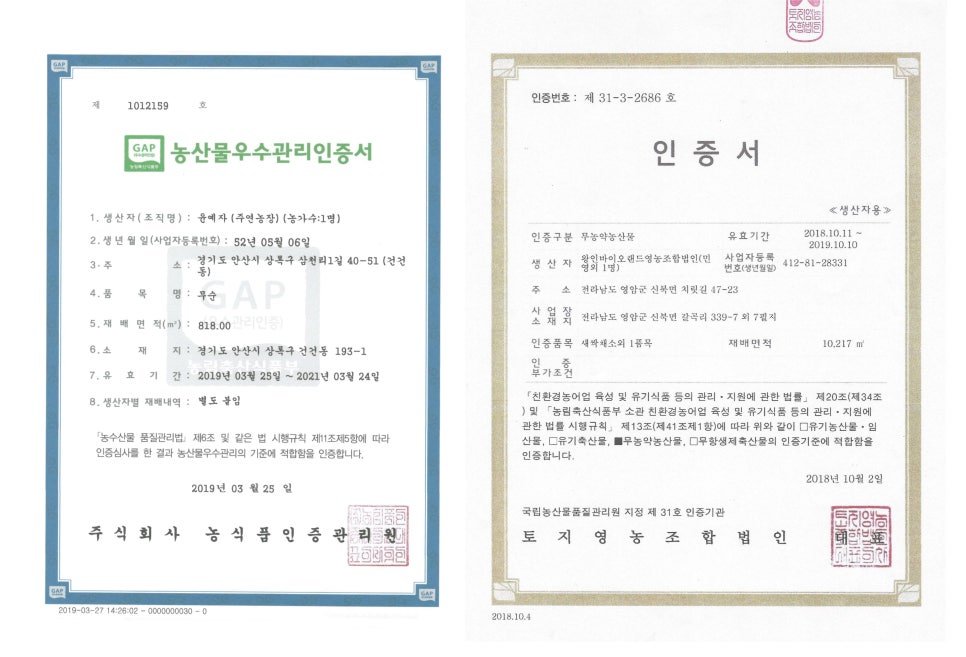 좋은사람들주 이미지