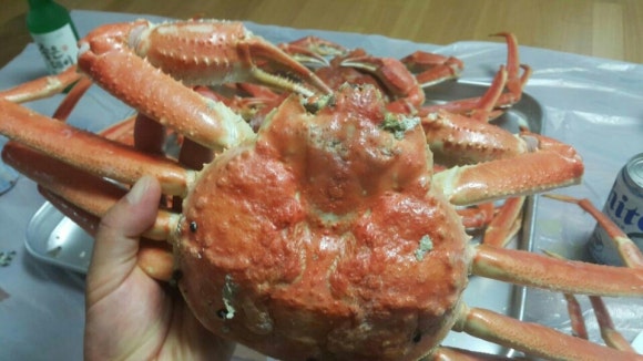 안녕수산 이미지