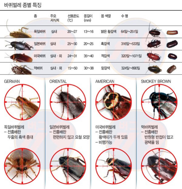 그린청소방역 이미지