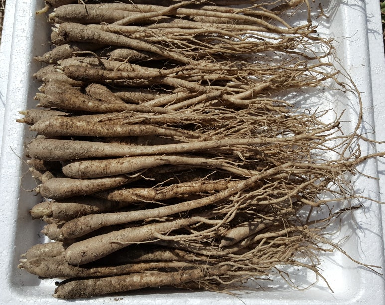 라온농원 이미지