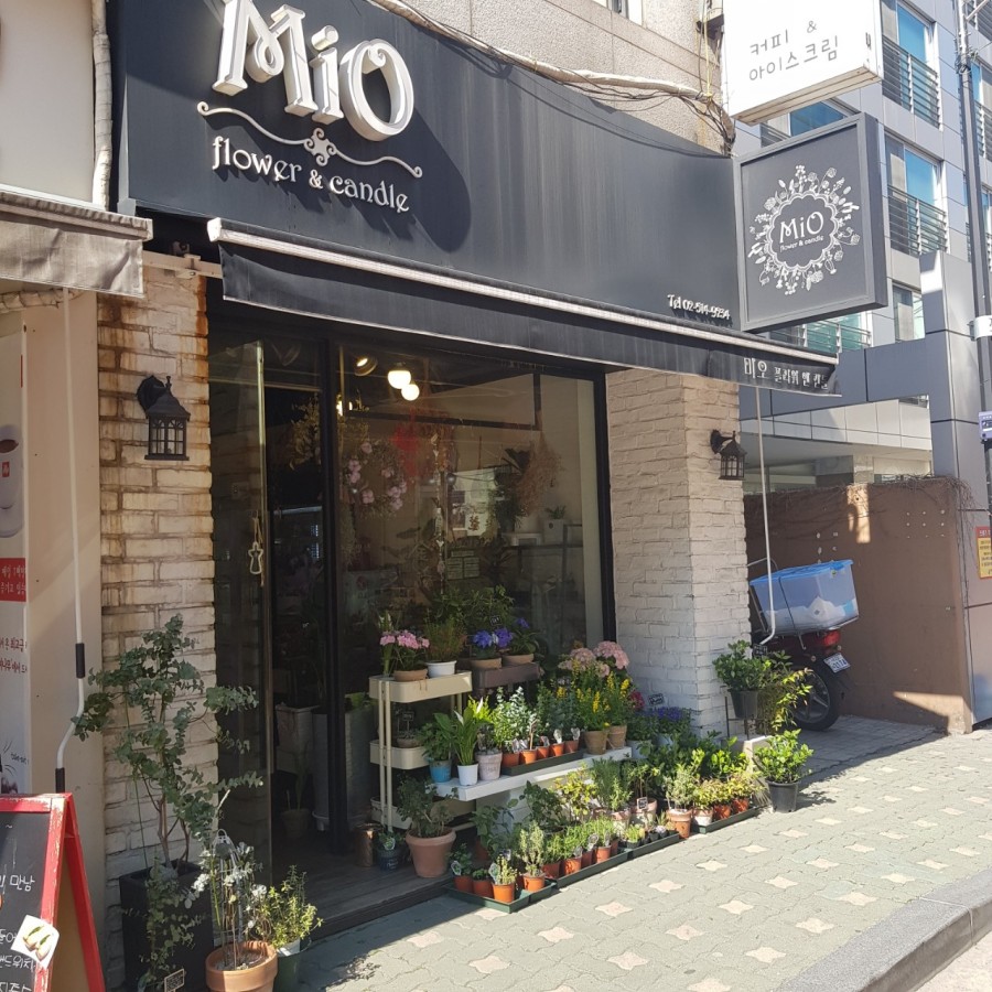 미오플라워 이미지