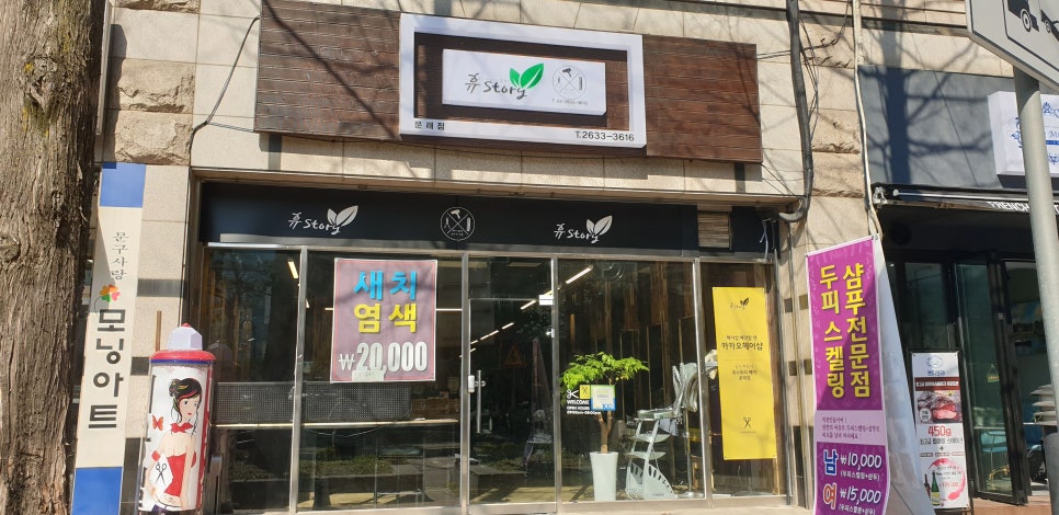 김은숙미용실 이미지