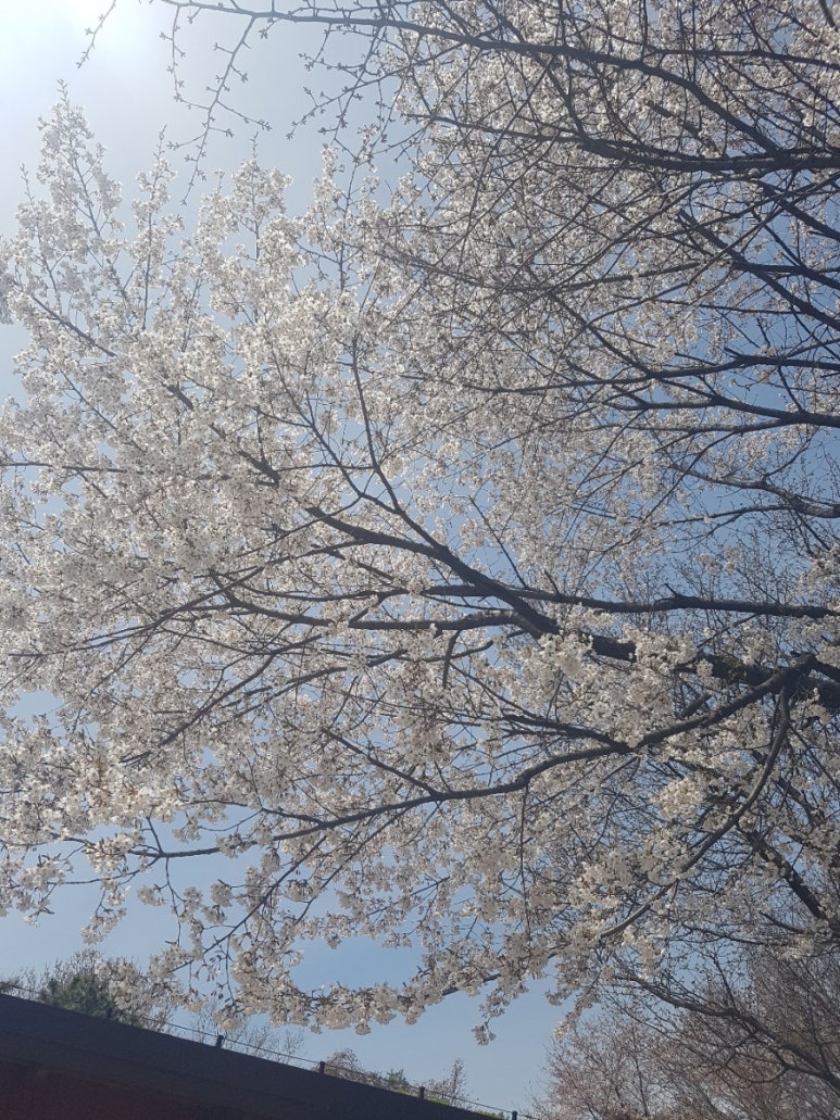 경희척한의원 이미지