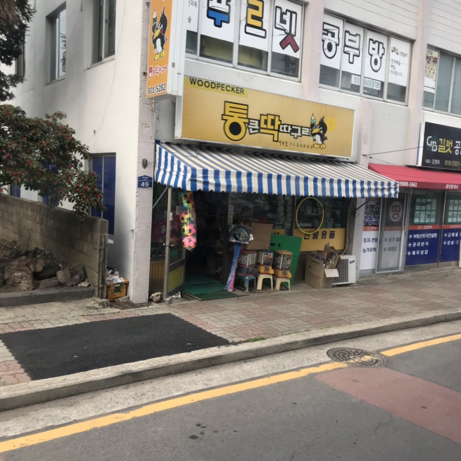 통큰딱따구리 이미지