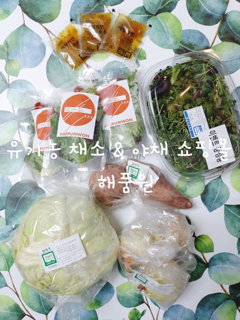 자연야채유통 이미지
