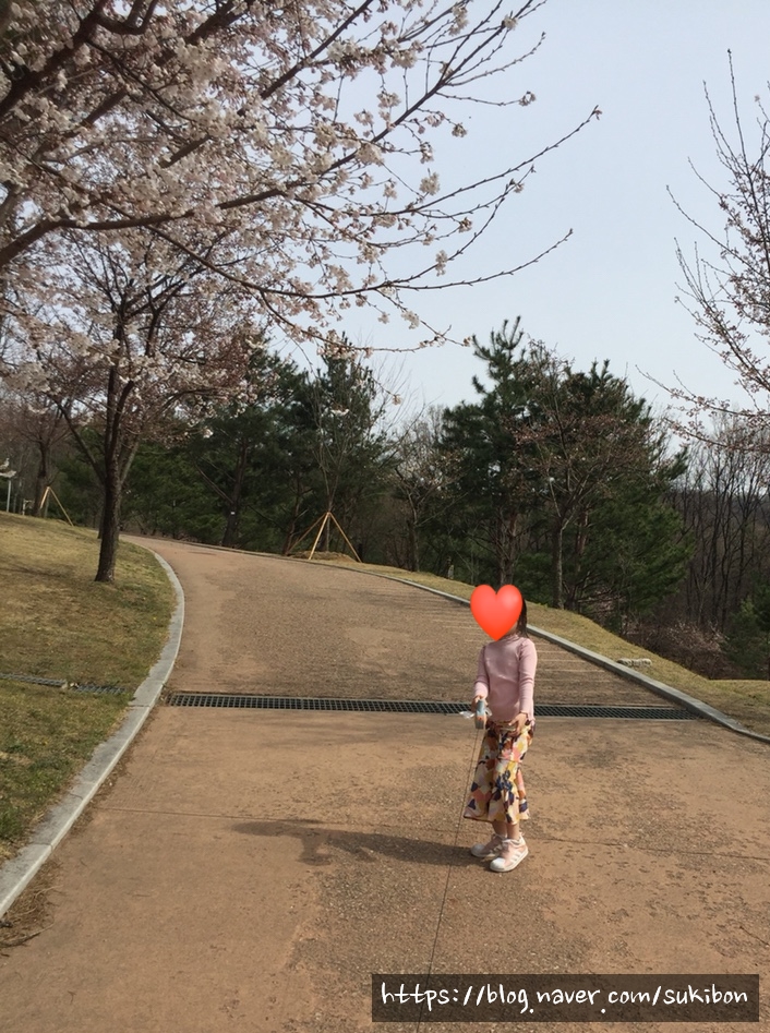 샤르밍 이미지
