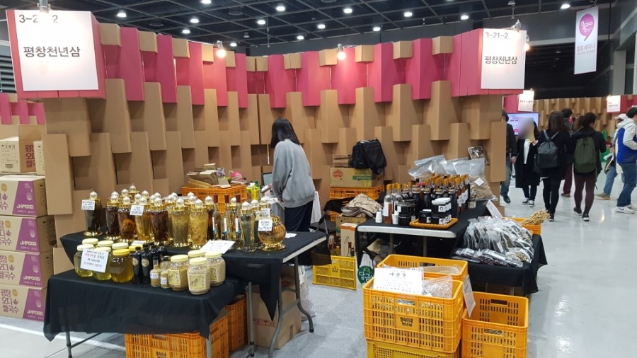 평창천년삼 이미지