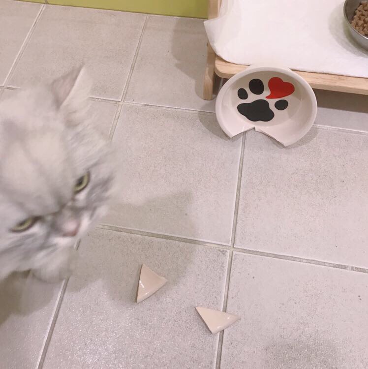 건널목연탄갈비 이미지