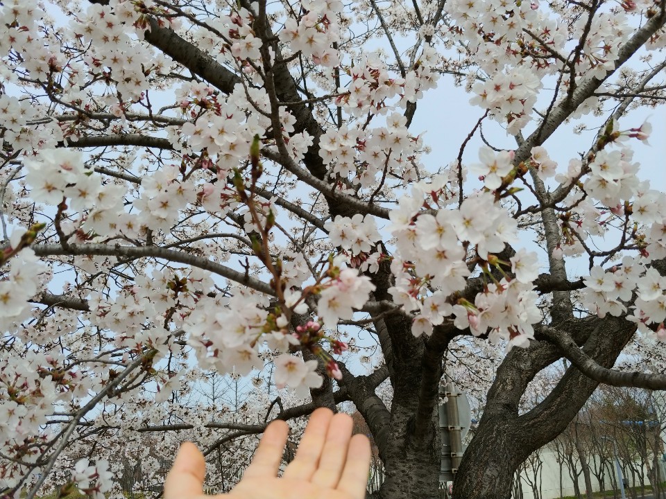 마음숲심리상담센터 이미지