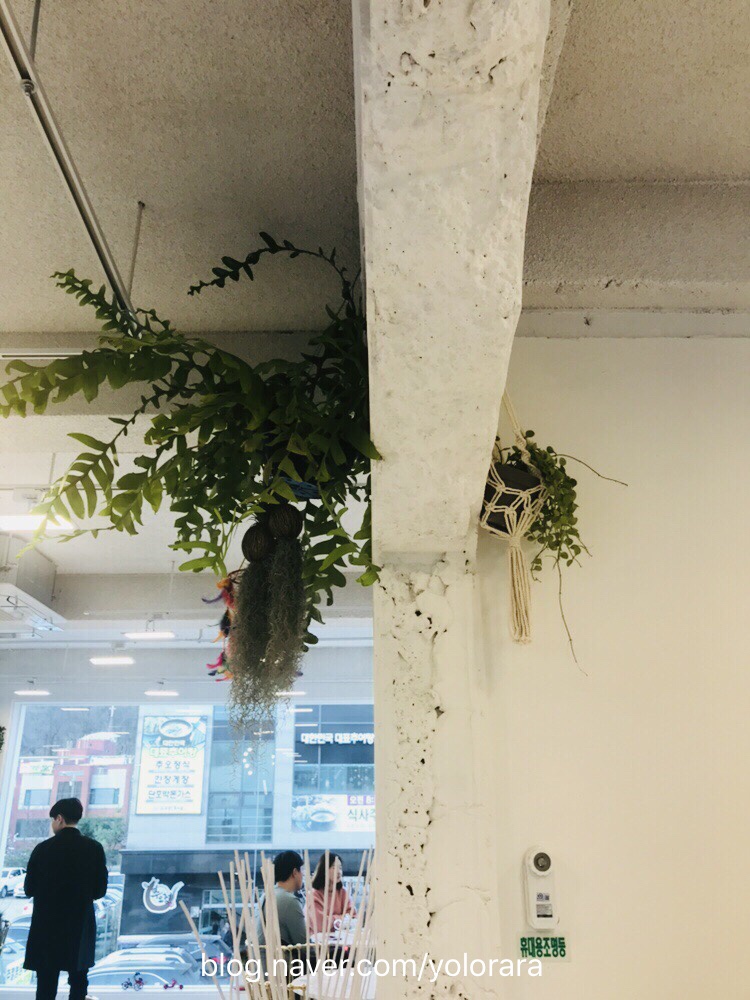 더카페886 이미지