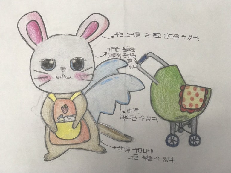 캥거루베이비시터 이미지