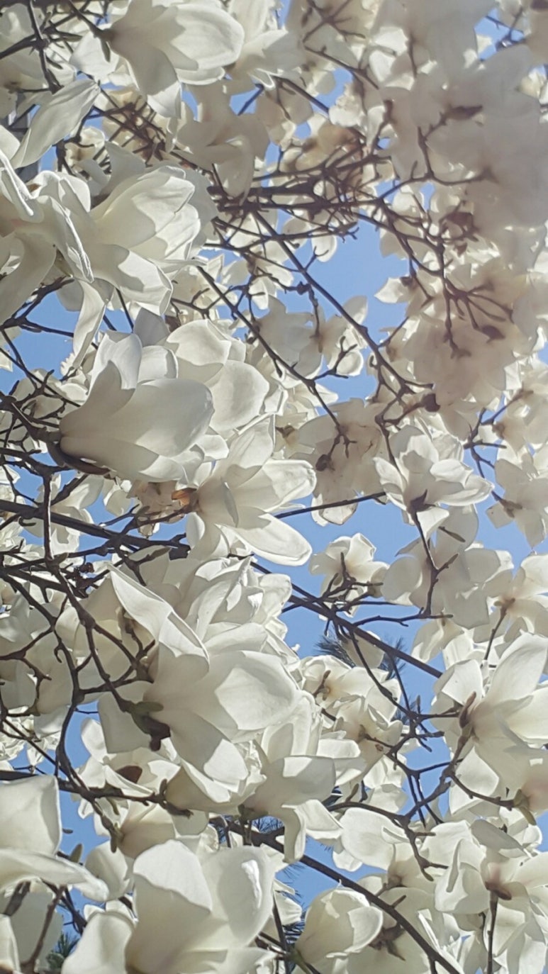 화인SW 이미지