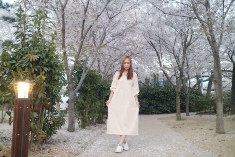 경화상회 이미지