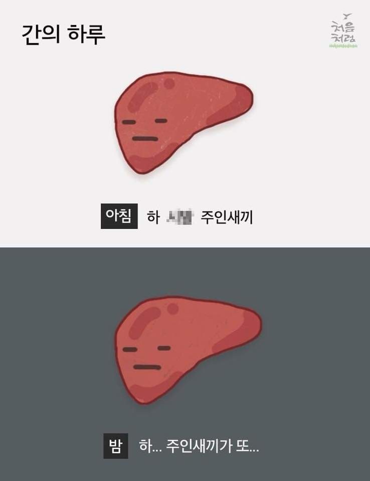 찌니뮤직타운 이미지