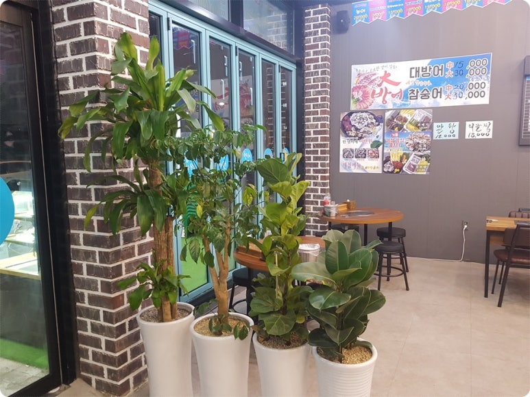어사출또청주 이미지