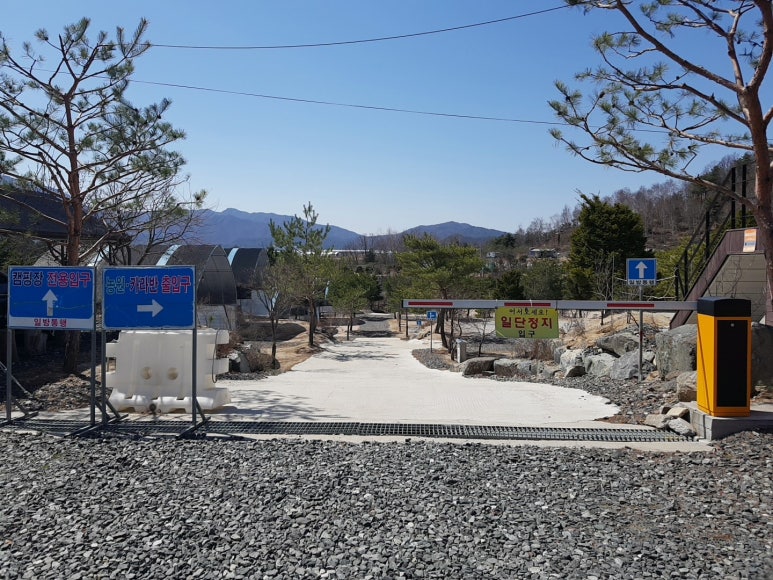 와이엘 이미지