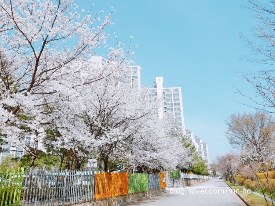 파리바게트수택 이미지