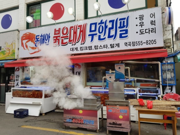 동해안붉은대게 이미지