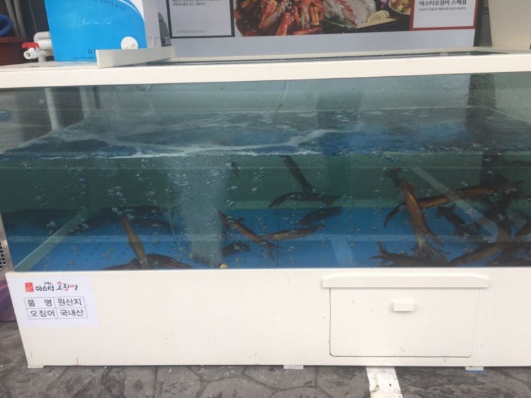 미스터샌드위치 이미지