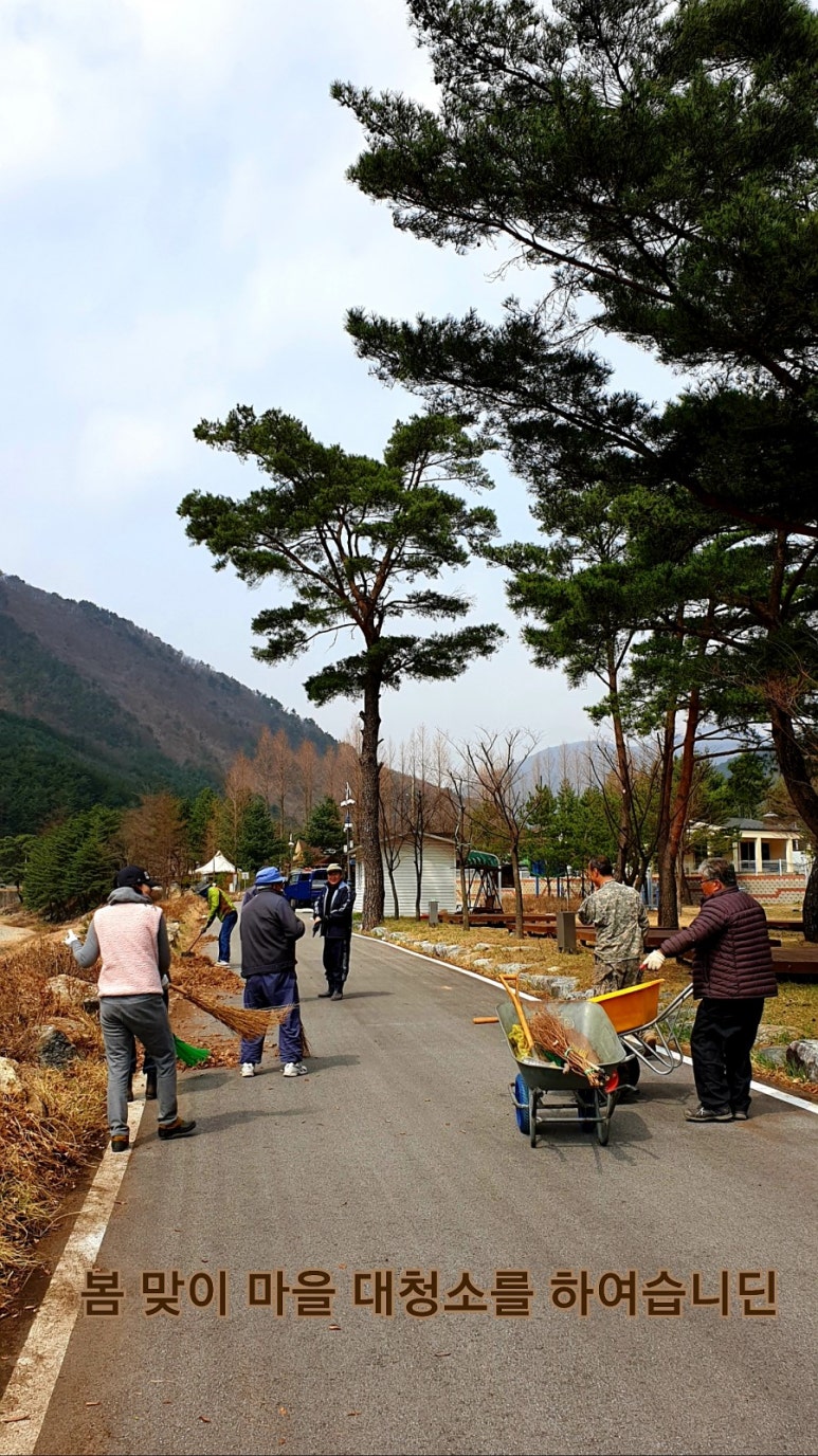 졸드루야영장 이미지