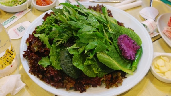 엘리트핏24 이미지