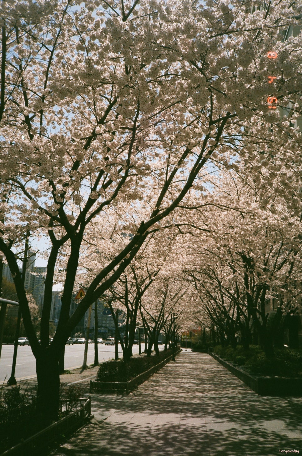 소연필름 이미지