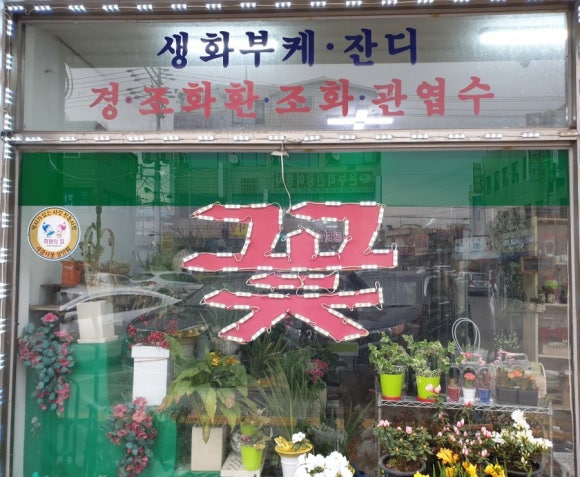 이레꽃화원 이미지
